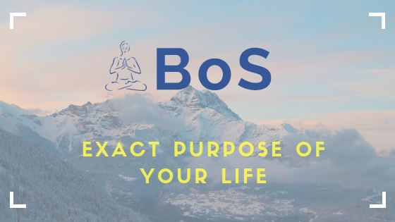 Purpose of your life