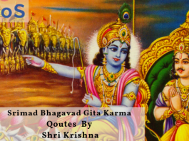 Srimad Bhagavad Gita Karma Quotes