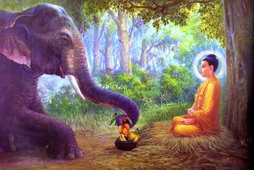 Lord Buddha with animals